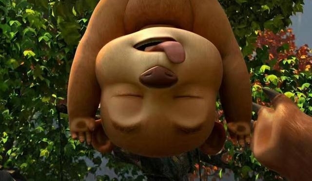 ������ʥ�Ķ������Ӱ������Ӣ�ܡ�����5��28�յ�½ȫ��Ժ��
