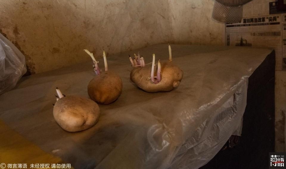 ��Ѯ���˶�����ɽ���ϣ��»�Ҿ�����60��