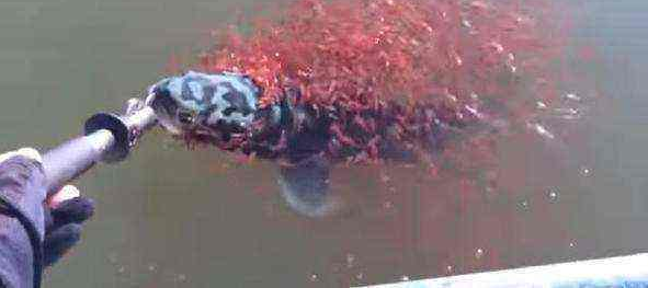 ũ��������㸡��ˮ���һ˲�䣬�����ڳ�����ʧ�����ᣡ