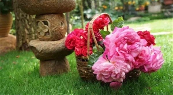 ����һ���׸����赸��������60������ɾ���