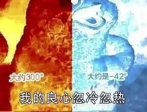 �����׸�̨�硰÷����Ҫ���ˣ���������һС���ٻᱻӰ���𣿣�