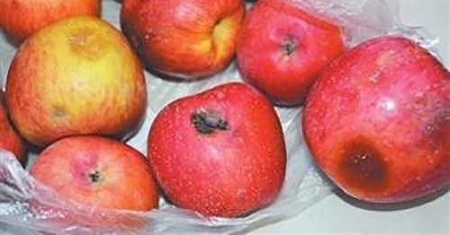 Ϊʲô����ȥũ������ƻ�������ر����Ļ��