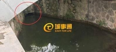 ̫ʹ�ģ�����û��ס��8��Ů����ɥ�˺���ˮ��