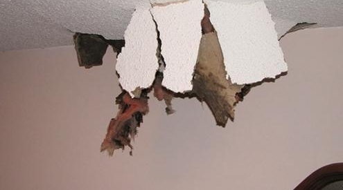 һ�������컨�����˶������ϵ���������С�ɰ�����