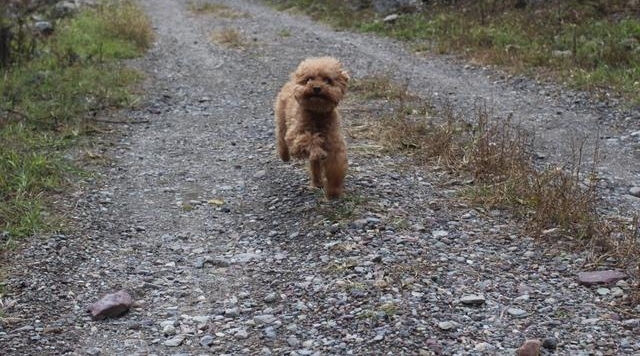 һ���������²��޹������£���������������������Ӻ�ˮ���ݣ�