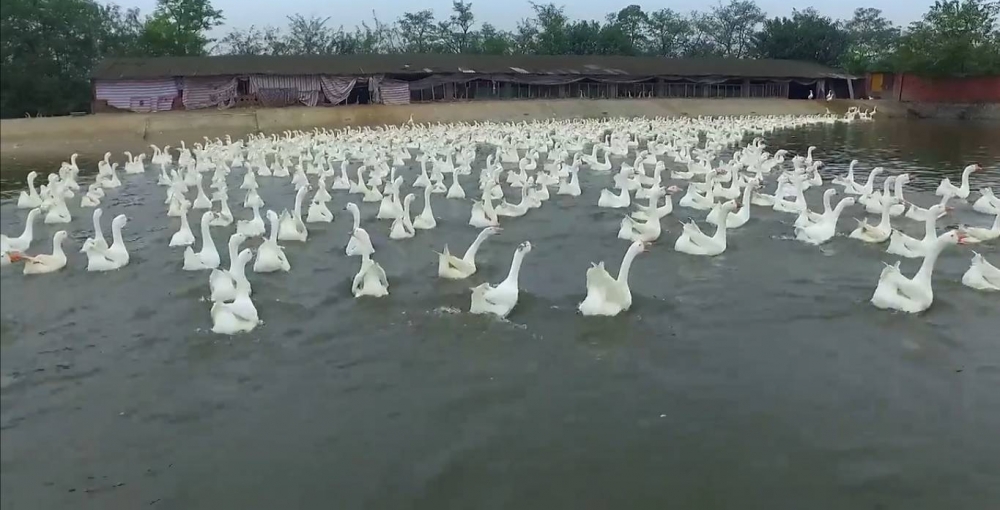 ��˵�����ڵĴ��˶��С��ŷ����ӳɡ�
