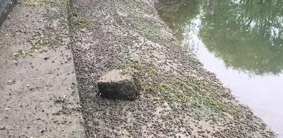 ̫ʹ�ģ�����û��ס��8��Ů����ɥ�˺���ˮ��