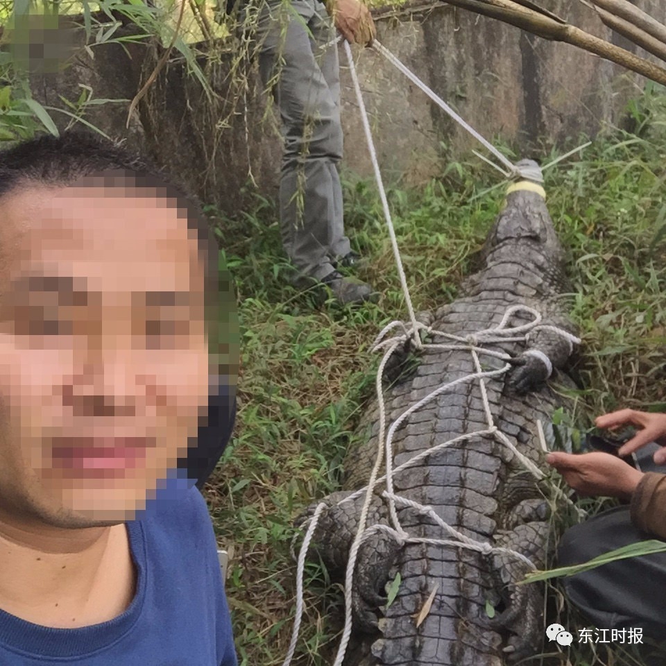 �㶫6���ӵ���4�������� ���ֺ��Ӱ����