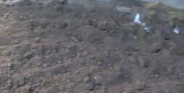 �����޹��ε������������ڳ����Ķ������������ֲ���