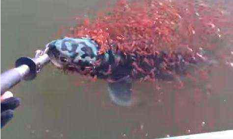 ũ��������㸡��ˮ���һ˲�䣬�����ڳ�����ʧ�����ᣡ