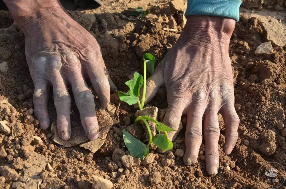 �������˿�˫������40���� ����ĸ���չ˲е�