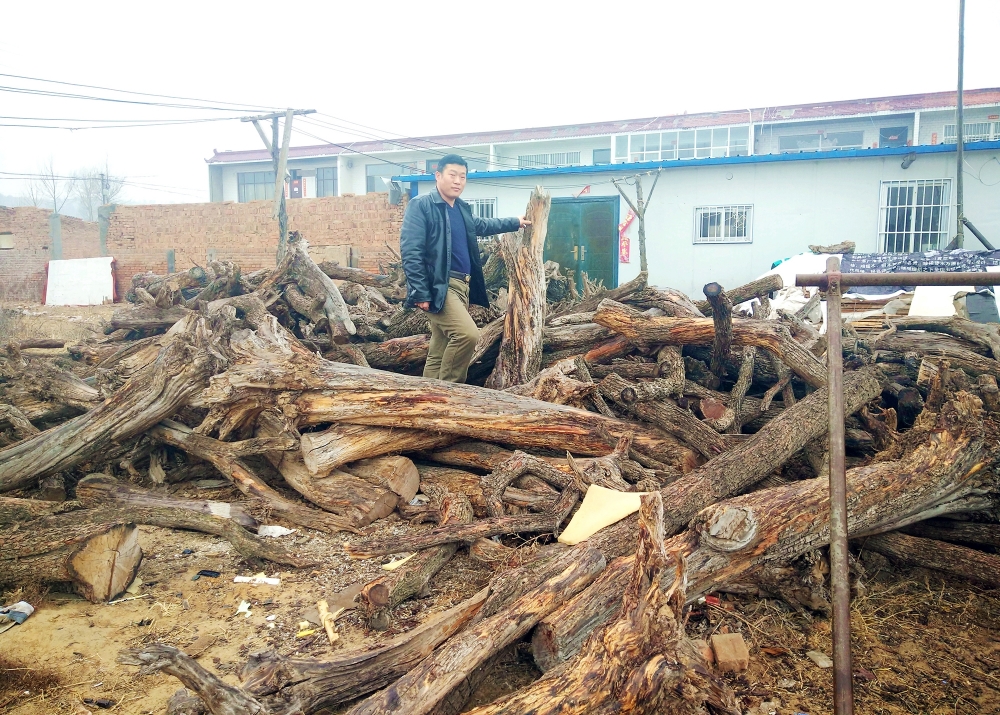 ����������5ëǮһ�6�����������