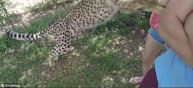 ����ͼ�㣺����尮�顷���ı��س���Ů��˿ ���Ļ��ô�׳��ҩ