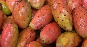 ũ��������������������ȴ����Ϊ���ڷ���ױƷ����Ů��Ҫ���