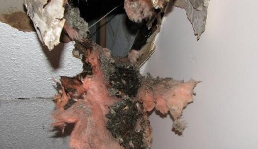 һ�������컨�����˶������ϵ���������С�ɰ�����