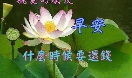�ʺ�ϳ����ٳ��¸裡�������ڳ������Ҷ���������� | �ƹ�*