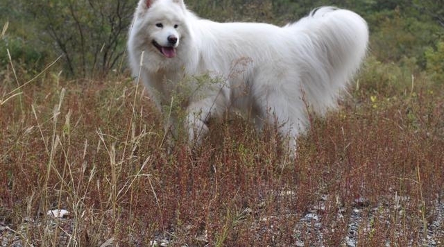 һ���������²��޹������£���������������������Ӻ�ˮ���ݣ�