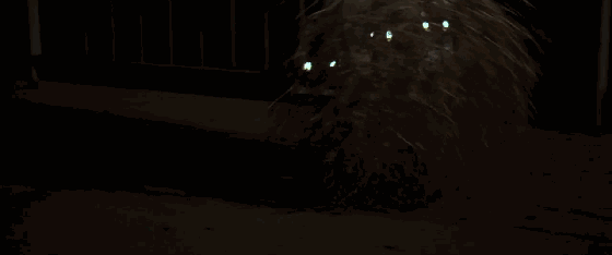 ����9.8����ɧ