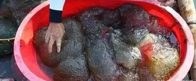 ����Ӻ��д��̳��������˵��ֵ������Ǯ����˰�