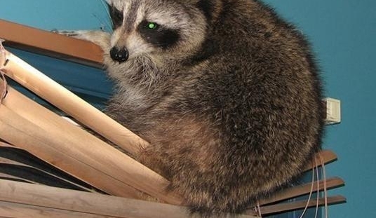 һ�������컨�����˶������ϵ���������С�ɰ�����