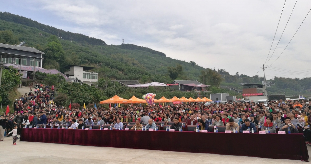 �ɽ��������ӣ�ҽڿ�Ļ����