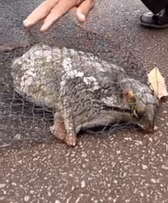 ����ץ�����������������90�������Ҳû������������ʲô