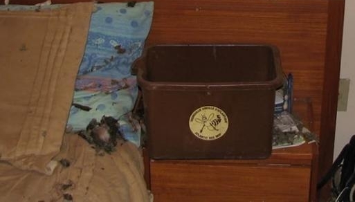 һ�������컨�����˶������ϵ���������С�ɰ�����