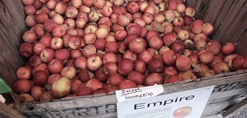 Ϊʲô����ȥũ������ƻ�������ر����Ļ��