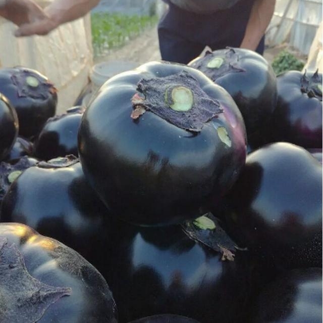 ���ӷ����ˣ�һ����7ëǮ����ү����̰�ڵĹ����������˲��ϳԣ�