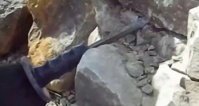 С��Ϊ�˲�����ɽ�ڿ�Ѱ���������ĸ�����������Ӧ���£�