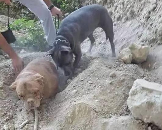 ���ӳ����޹���ȴ���ⷢ��һ���������񣬽���ȳ�������������ʹ