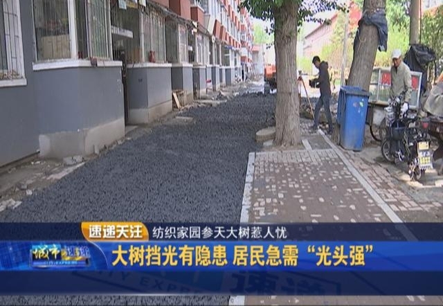  衰ͷǿ