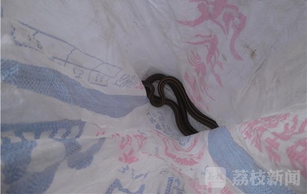 ������о������׳��˻��� ʮ������