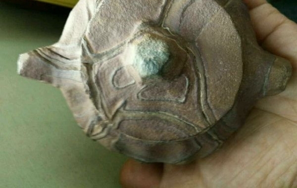 ũ񵽡Ҷ˵Ҫ˲ˣؼȴ˵ײ˴ˣ