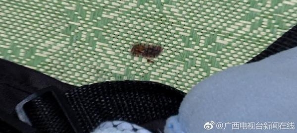 ������������¥��̨���콵����̿����Ӥ����������Ѱ��������