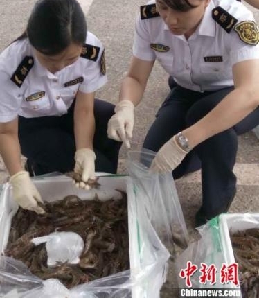 �����׸�����ʳ��ˮ������ָ���ڰ�����