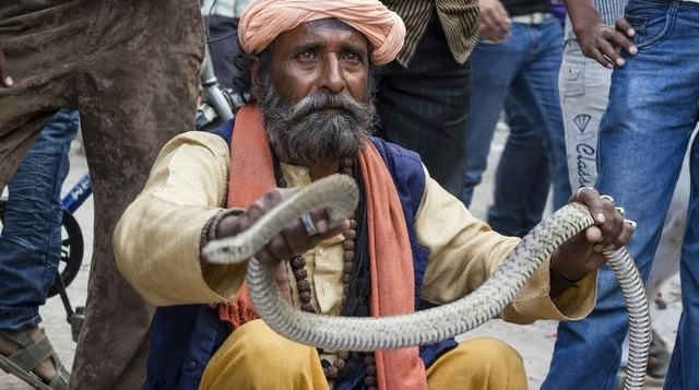 �����������ר����