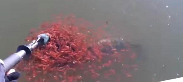 ӵʱһ㣬©ˮʱһȻ£