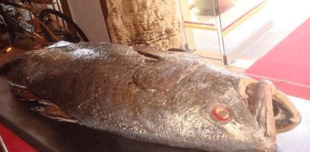 ������������ø�ר�Ҽ��������������������£�