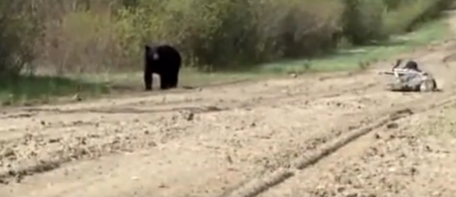 ������ɽ��Ұ��������������Ұ����ʮ���ļһ����ſ��װ��