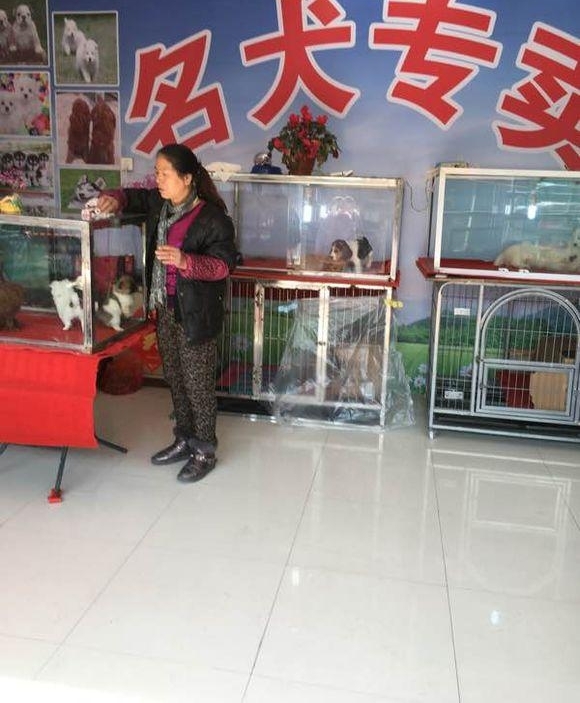 Ȯ�������ڵĹ��������������ң�����Ȼ�ܹ��ɣ�������Ҳ������