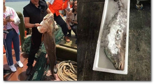 ����������һ����347������122���Ǯ����һ�ڼ�ǧԪ��û��