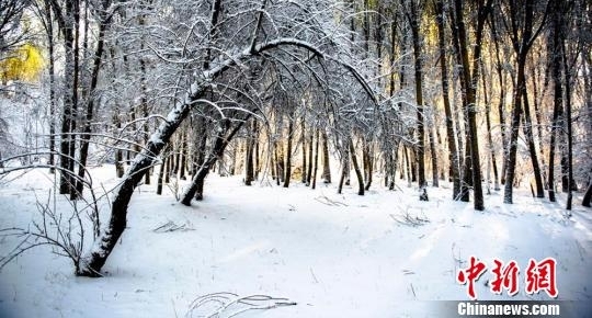 �������С��ĺ����ѩ �����뻭��