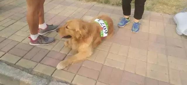 ��ô�ȵ��죬��Щ�������ڸ�ʲô��