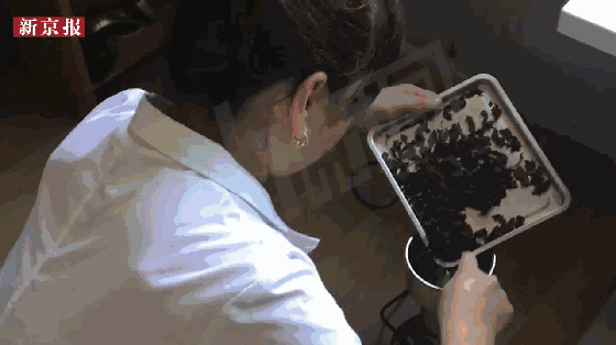 ��������ί��Ӧ������ҽԺ�ܱߵ���̥�̡�