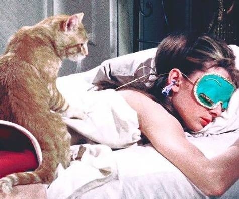 ��һ�����ѣ�������ȫ���綼����˯