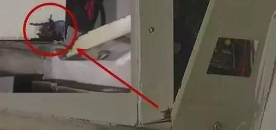 Ů������ϴ��ʱ ����ͻȻð����һֻ�ֻ�����