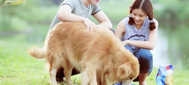�Ƽ��������ÿ���̩�����ң��ھ�ĵ�ʱ����Կ�Ŷ