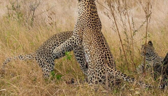 С���Ӿʹ����ϵ��¾���һ�̣�������һԾ����סС��!