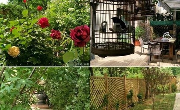 ���ݰְ�ɹ��լ������ Ů��������Ҳ������